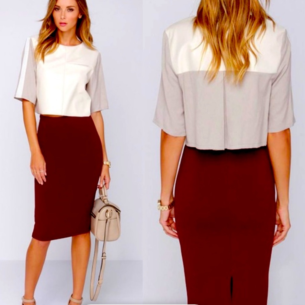 Elegant Burgundy Pencil Skirt w/ Back Slit